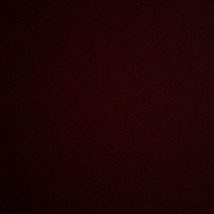 Meet your Posher, Damaris